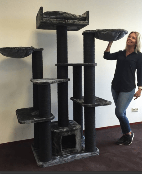 Floor To Ceiling Cat Tree UK The UK's Largest Online Cat Tree