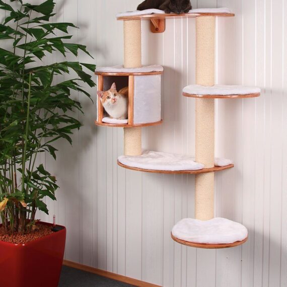 Wall Mounted Cat Trees | FREE DELIVERY & LOWEST PRICES