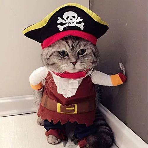 Caribbean Pirate Dog Cat Costume
