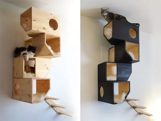 Cat Play Structures UK