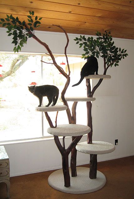 Large Indoor Cat Trees UK - Cat Tree UK