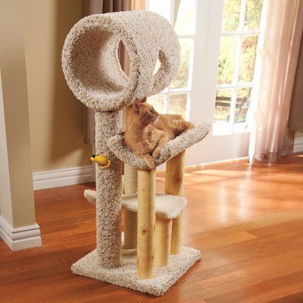 Carpet Cat Tree