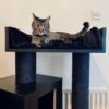 The Devon Lounger Deluxe (Blackline) - Image 3