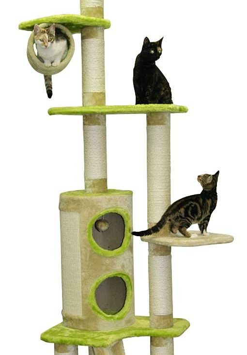 Cat Tree Maine Coon Tower (Creme / White) Cat Tree UK The UK's Largest Online Cat Tree Retailer