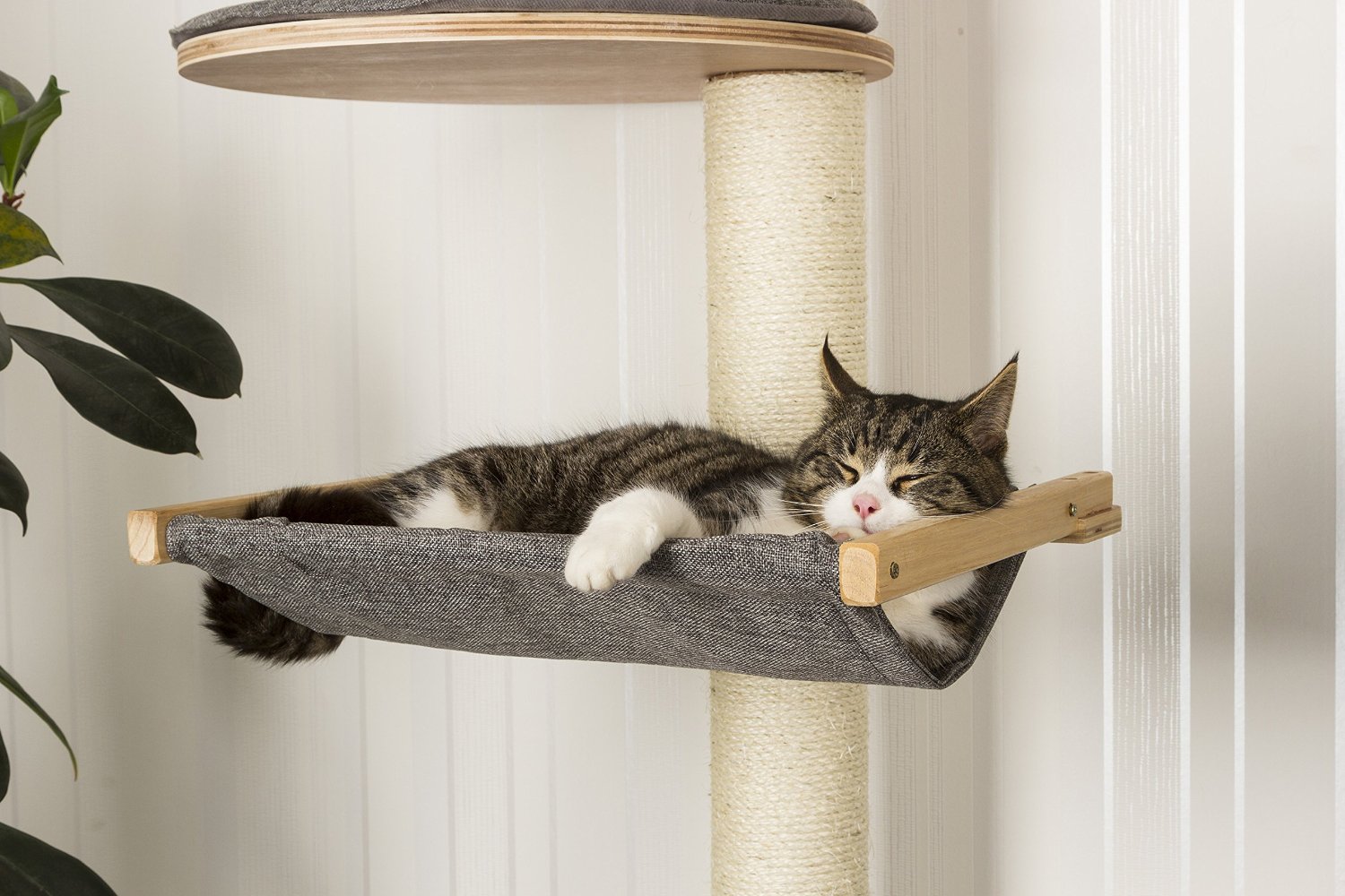 Wall Mounted Cat Tree Dolomit XL Tofana 2 - Cat Trees For Maine Coons (2021)