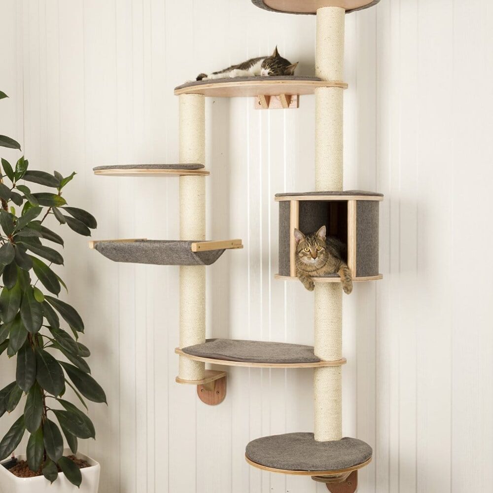 Wall-Mounted Cat Tree Dolomit XL Tofana | LOWEST PRICES GUARANTEED ...