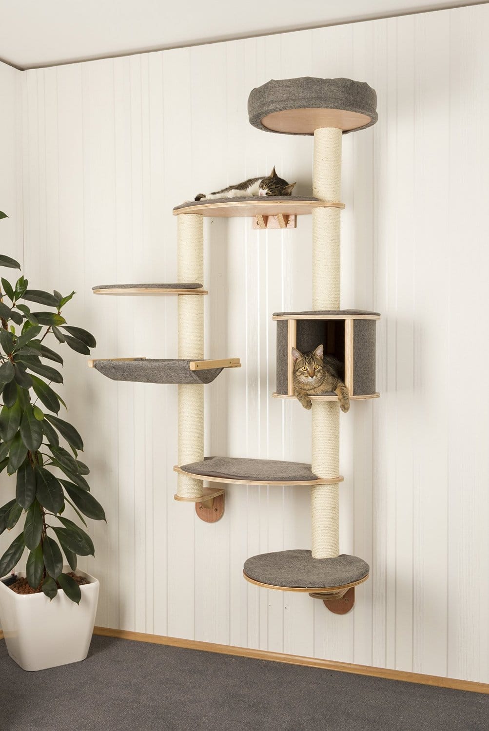 Wall Mounted Cat Tree Dolomit XL Tofana 3 - Cat Trees For Maine Coons (2021)