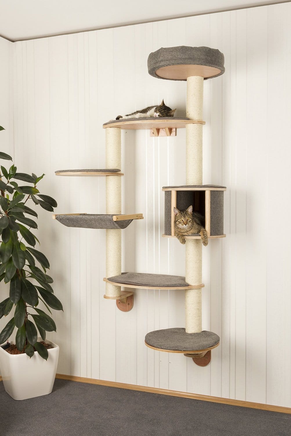 Wall Mounted Cat Tree Dolomit XL Tofana LOWEST PRICES GUARANTEED 