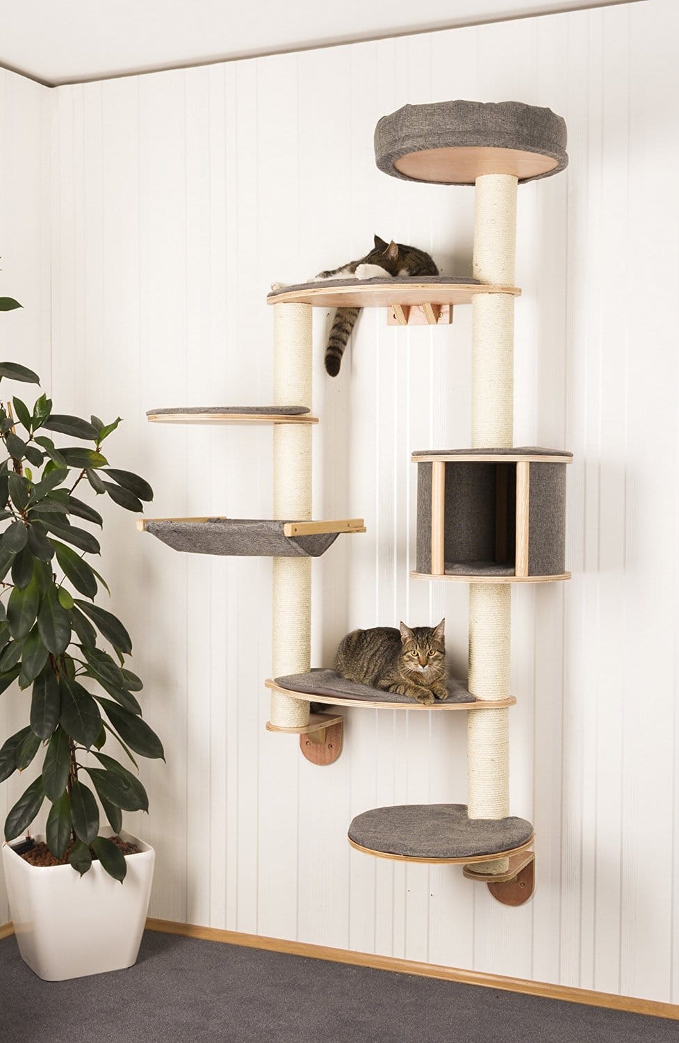 Wall Mounted Cat Tree Dolomit XL Tofana 4 - Cat Trees For Maine Coons (2021)