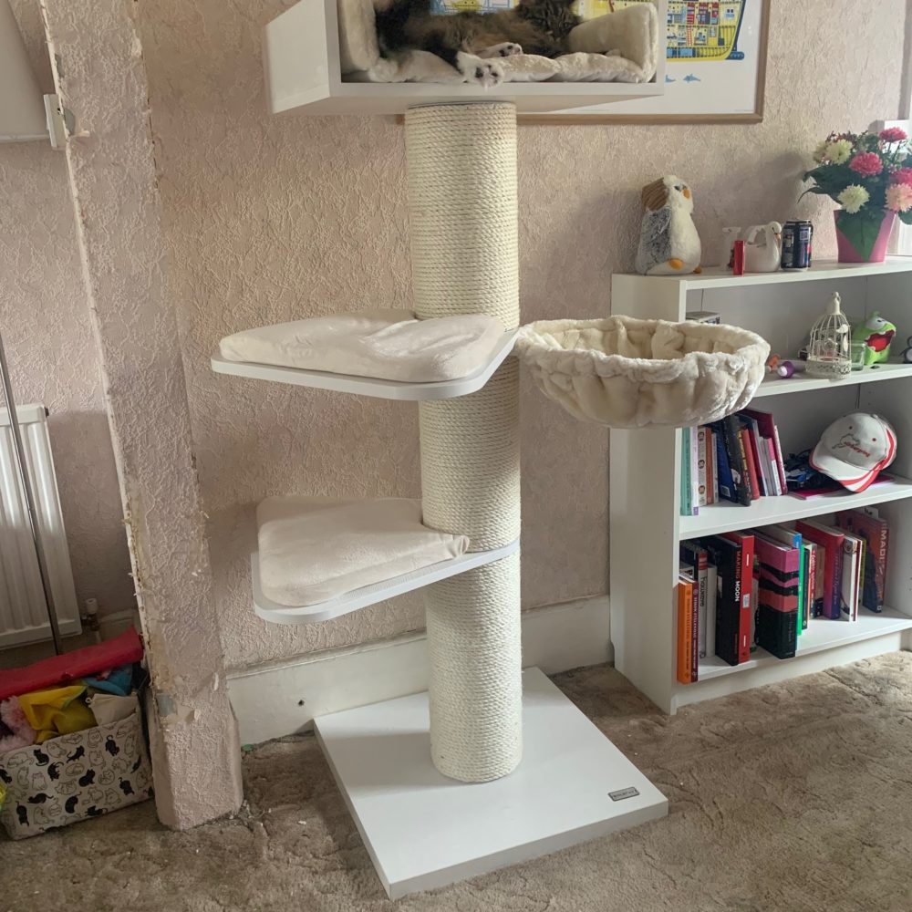 Cat Trees LOWEST PRICES GUARANTEED FREE DELIVERY