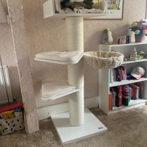 image0 1 500x500 - Cat Trees For Maine Coons (2021)