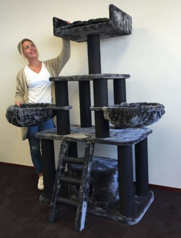 Floor To Ceiling Cat Trees Lowest Prices Free Delivery