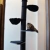 Maine Coon Tower Deluxe (Blackline)