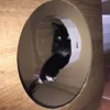 Cardboard Cat House \ Den \ Bed - Wood Effect