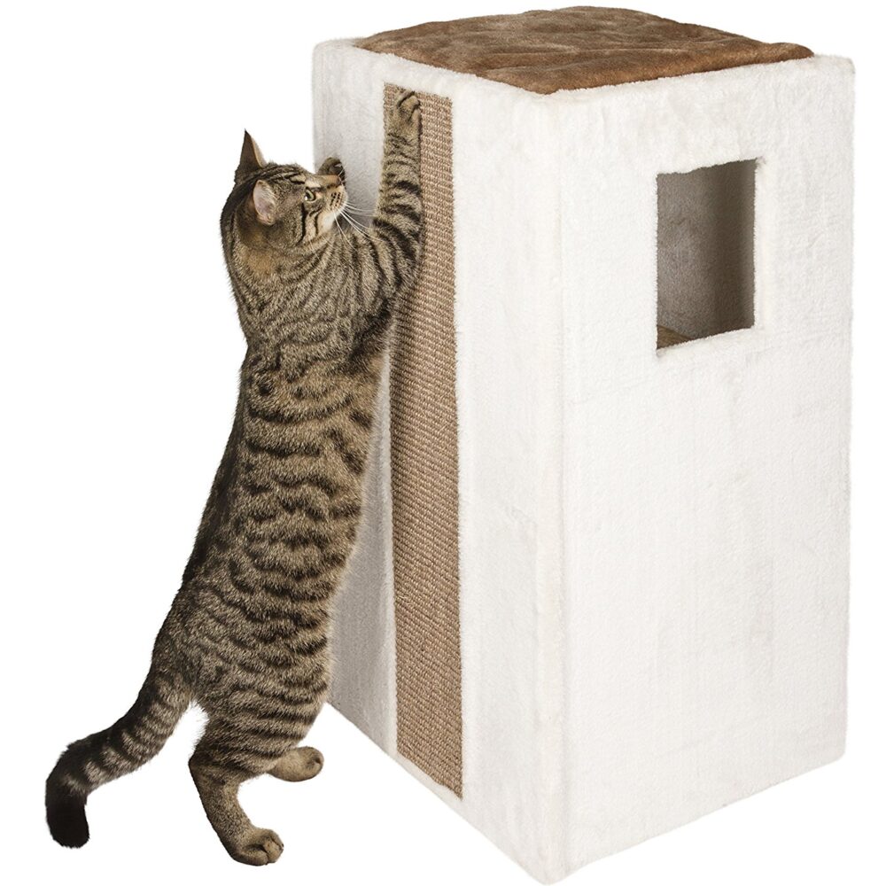 Cat Scratching Barrels LOWEST PRICES FREE DELIVERY