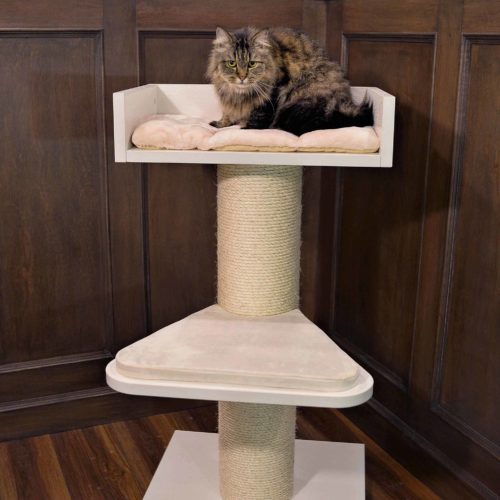 01 Maine Coon Lounge copy 500x500 - Bengal Cat Trees
