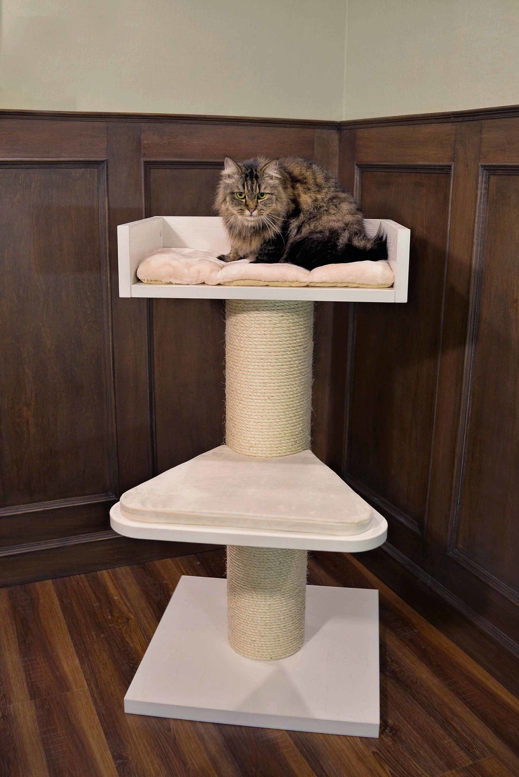 Maine Coon Lounger De Luxe (Creme) LOWEST PRICES GUARANTEED FREE DELIVERY