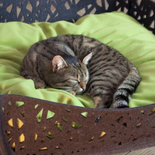 NIDO Cat Bed