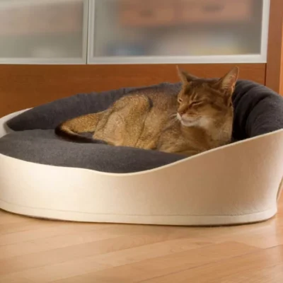 ARENA Luxury Cat Bed (Felt)