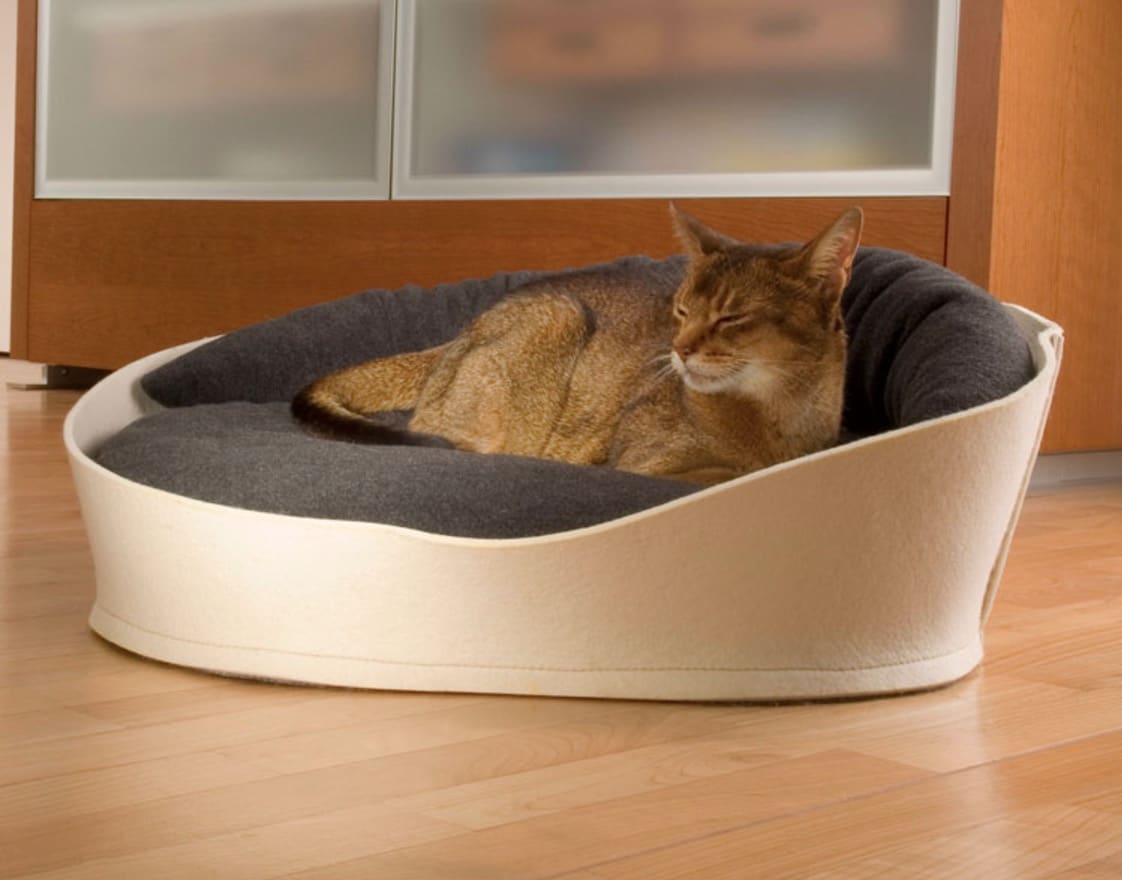 luxury cat bed