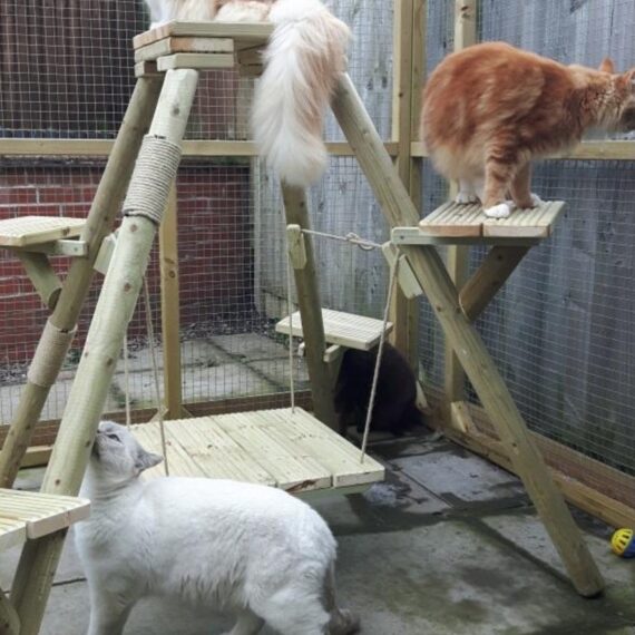 Cat Climbing Frames UK Cat Tree UK