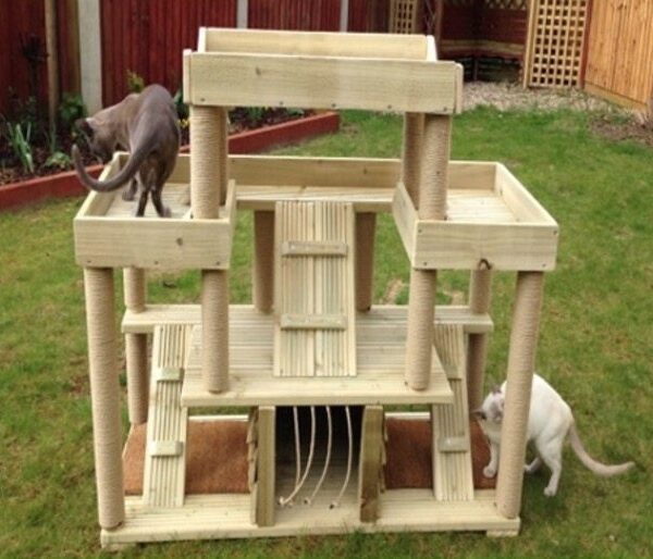 Cat Climbing Frames UK | Cat Tree UK - The UK's Largest Online Cat Tree ...