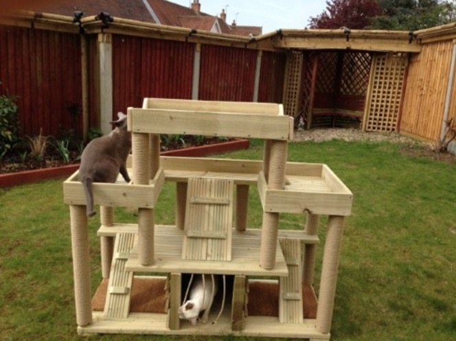 The Kitty Castle