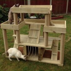 The Kitty Castle