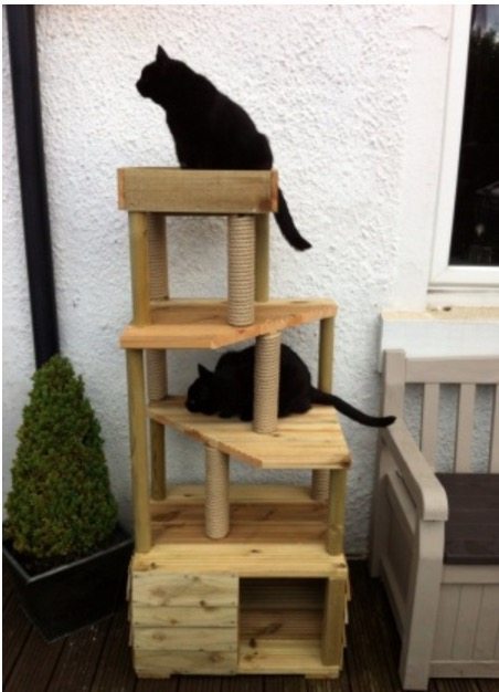 The 4 Tier T S Guaranteed, Outdoor Cat Furniture