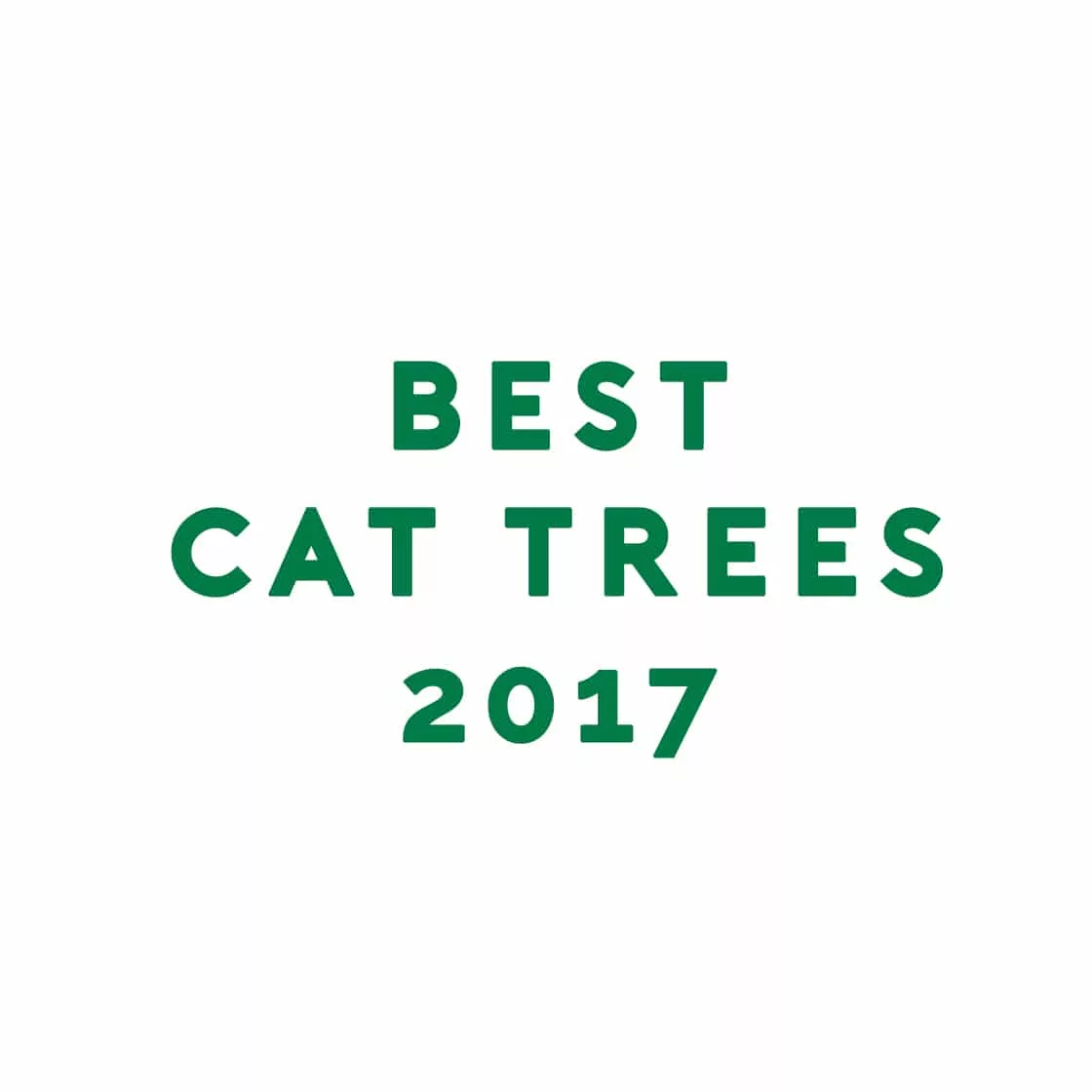 Best Cat Trees 2017