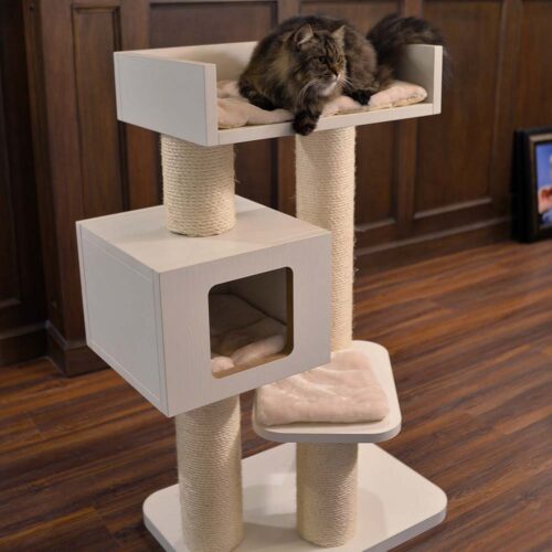 dd 500x500 - Cat Trees For Maine Coons (2021)