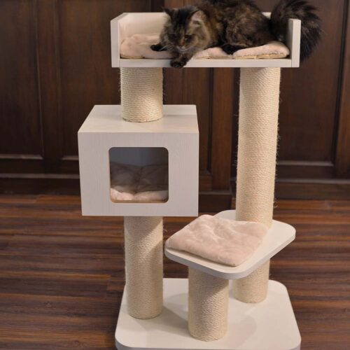 ddd 500x500 - Cat Tree For Large Breeds