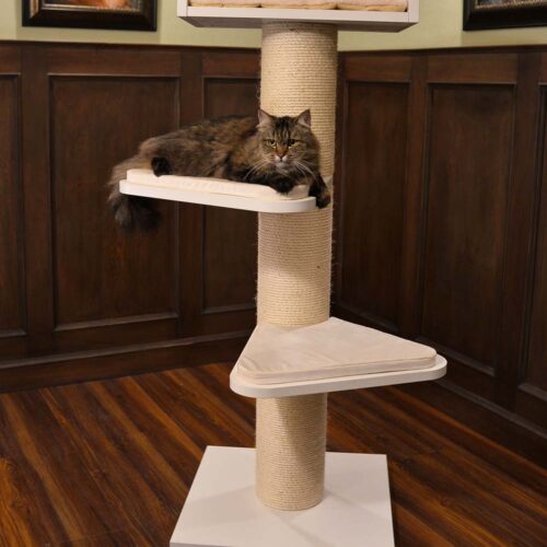 royalty19 500x500 - Cat Trees For Maine Coons (2021)