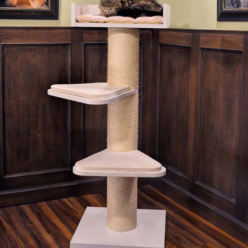 royalty2 500x500 - Cat Tree For Large Breeds
