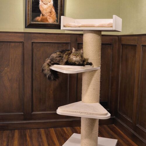 royalty5 500x500 - Cat Trees For Maine Coons (2021)
