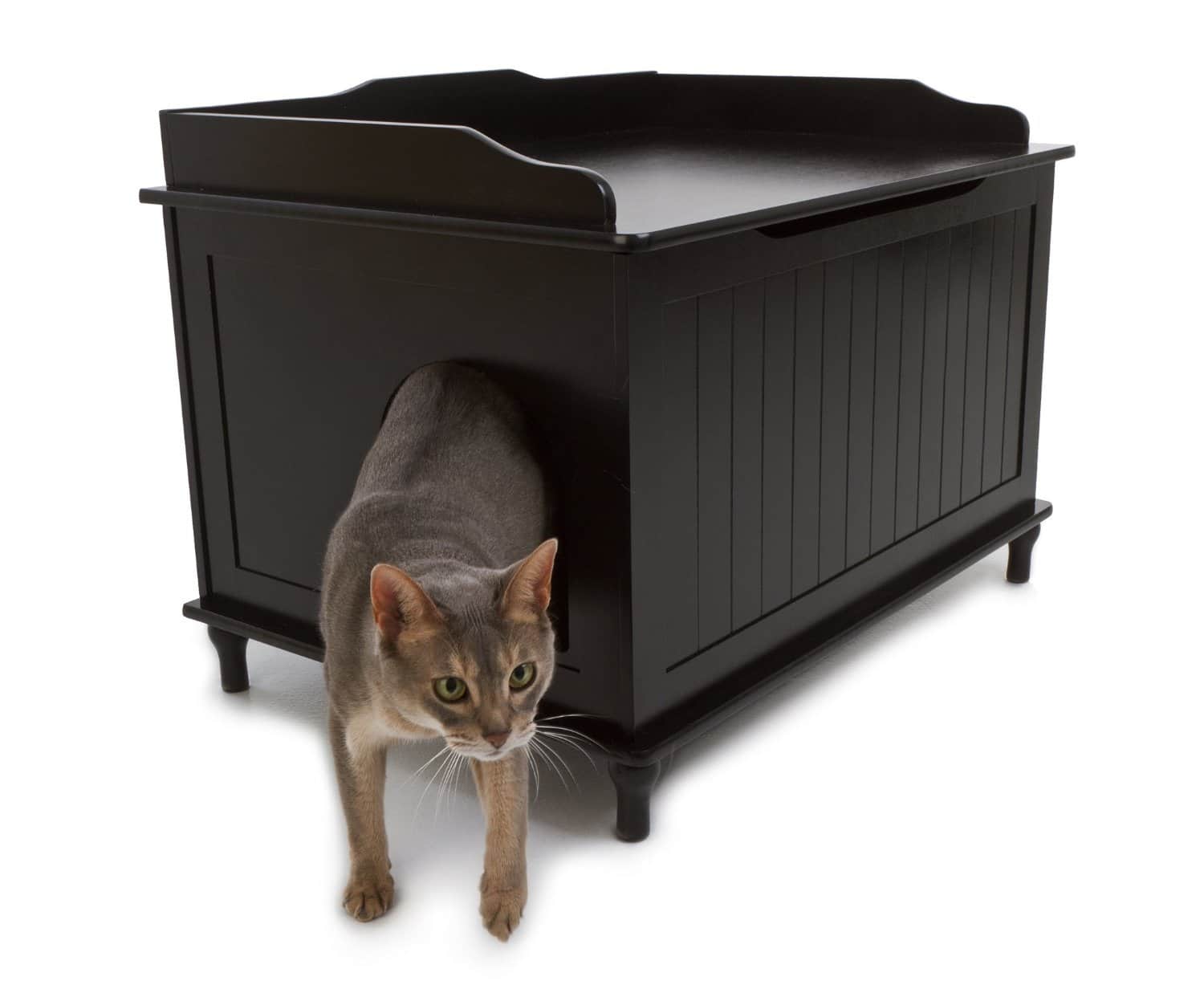 Top 10 Most Expensive Litter Trays Cat Tree UK