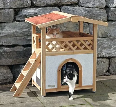 Cat House Tyrol Alpin