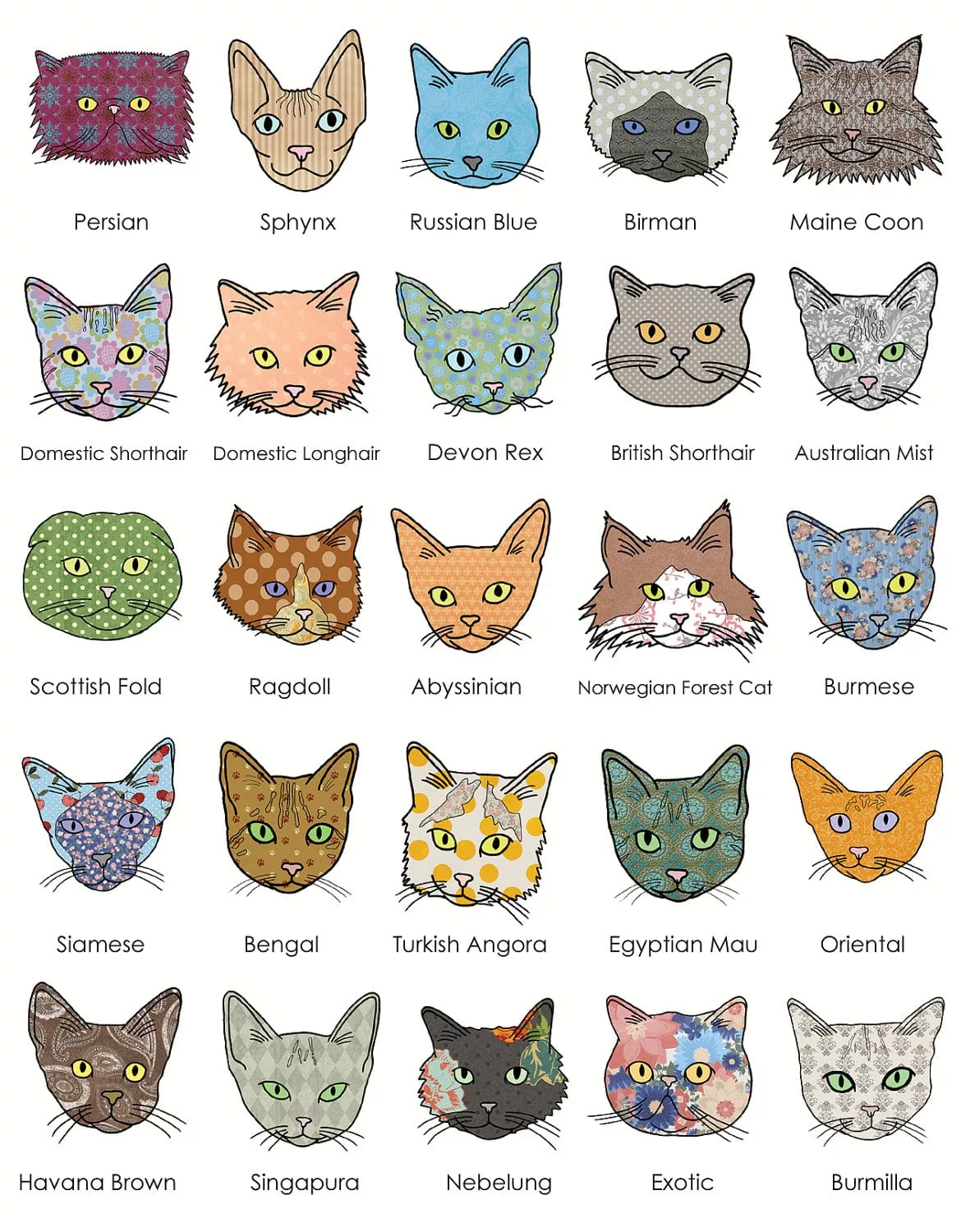 The Essential A-Z Cat Breed Guide