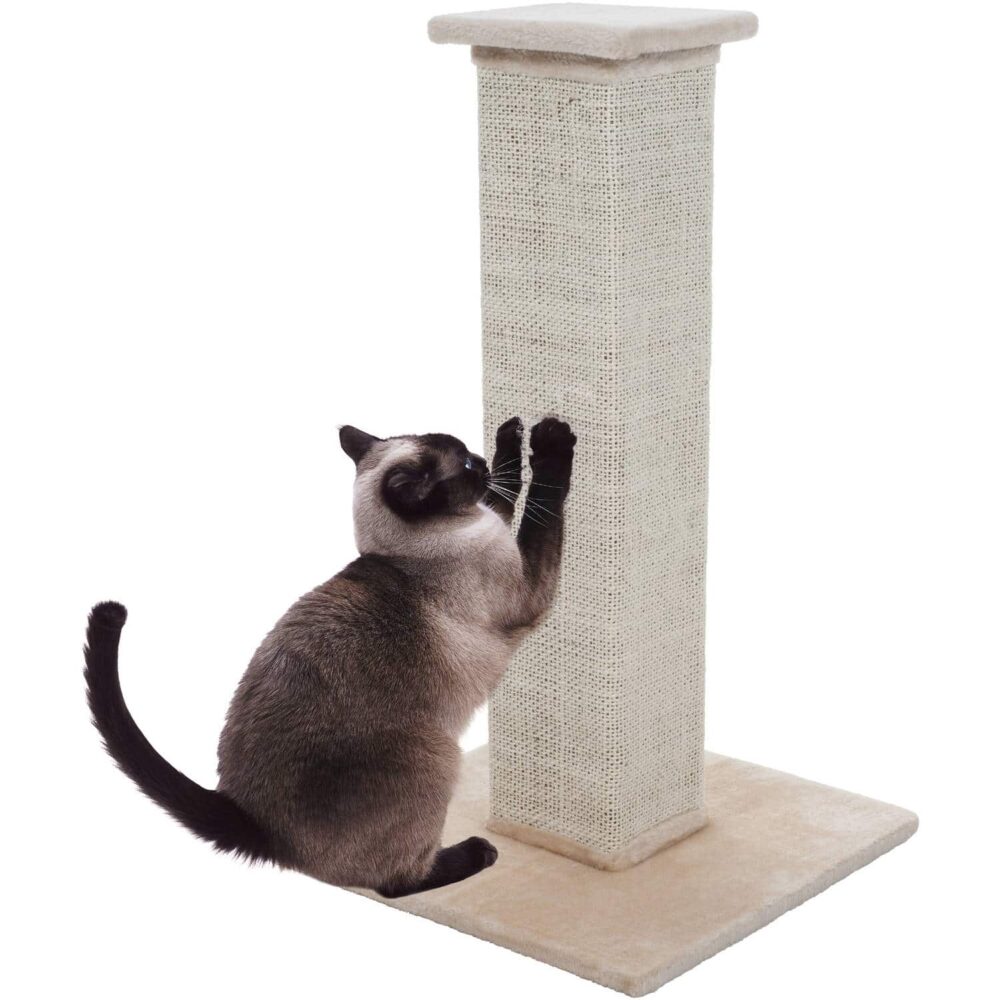 Tips On Choosing A Cat Scratching Post! Cat Tree UK