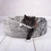 The Heavenly Cat Bed
