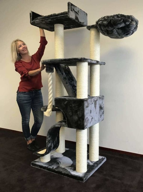 Cat Trees For Large Cats (A BUYERS GUIDE 2019) Cat Tree UK