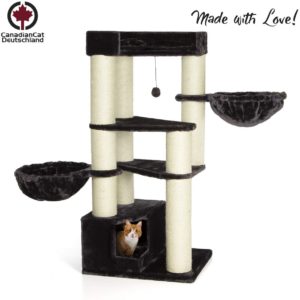 618r6epBh5L. AC SL1280  300x300 - Cat Tree For Large Breeds