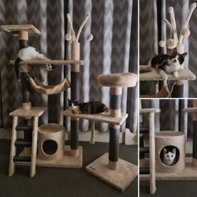 Cat Trees | LOWEST PRICES GUARANTEED | FREE DELIVERY