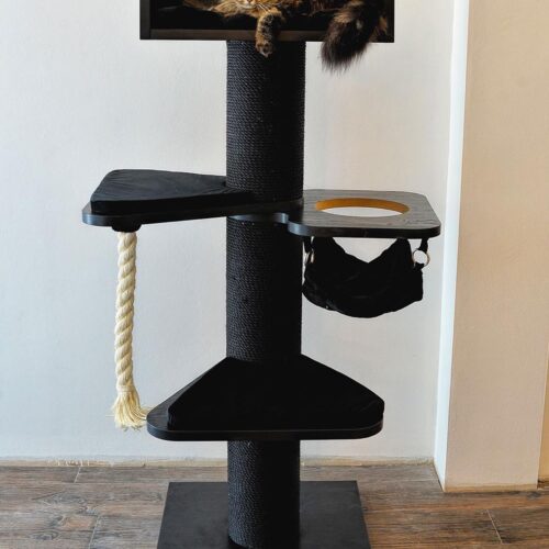 royaltycrown 500x500 - Cat Trees In France