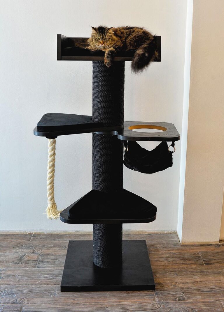 Choose the Perfect Cat Tree! Cat Tree UK