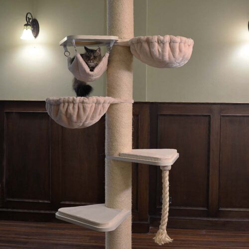 towercbeige 500x500 - Ragdoll Cat Tree UK