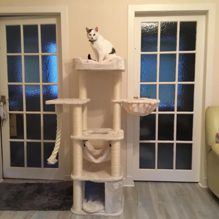 Cat Trees LOWEST PRICES GUARANTEED FREE DELIVERY