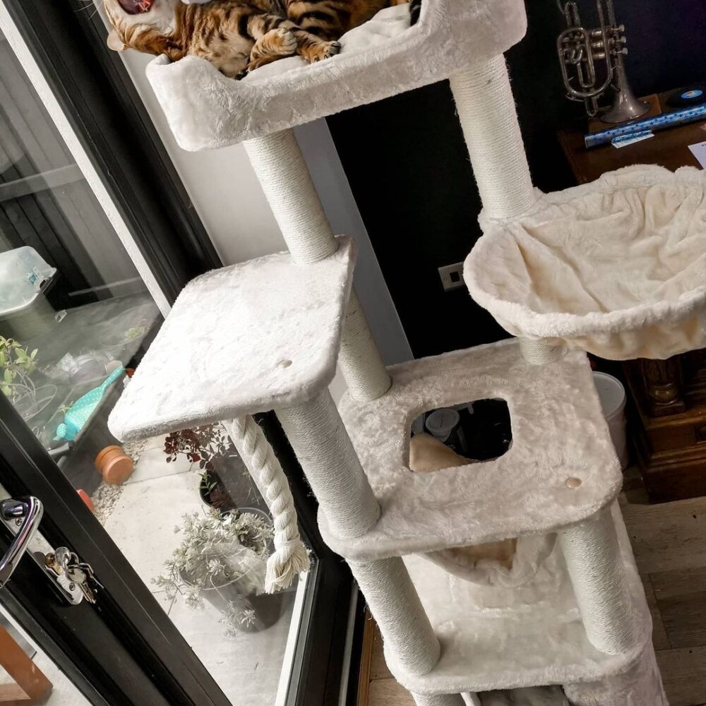 Cat Trees LOWEST PRICES GUARANTEED FREE DELIVERY
