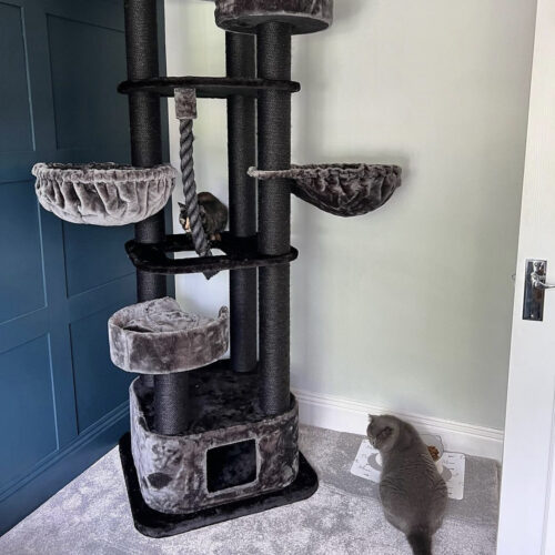 IMG 5917 500x500 - Cat Tree For Large Breeds