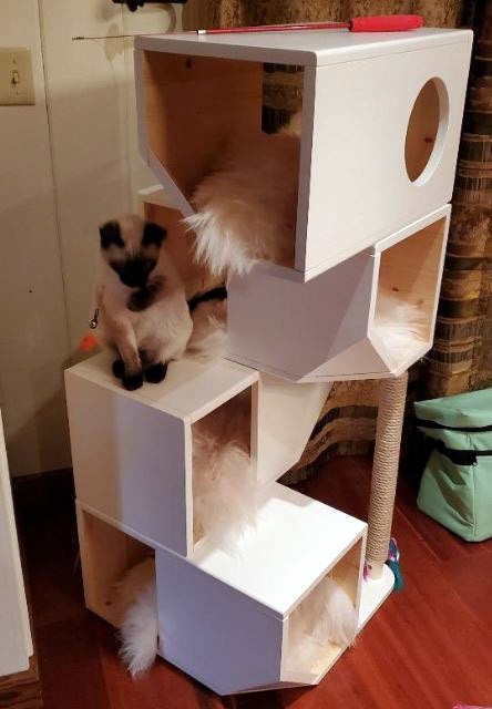 Catissa Freestanding 4 Storey Cat House